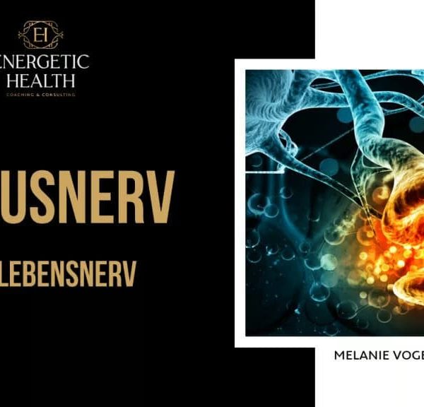 Der Vagusnerv – Unser Lebensnerv
