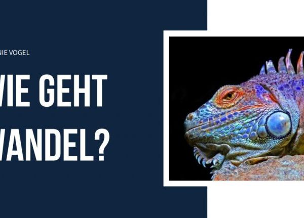Wie geht Wandel?